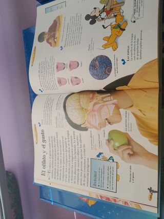 Colección Libros Disney El Maravilloso Mundo del C