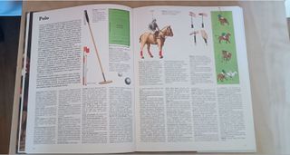 Vintage: raro volume enciclopedia sport- 1985 ITA