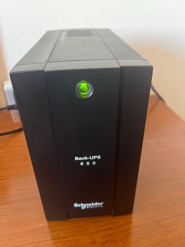 APC Back-UPS 650 SX3650CI-GR