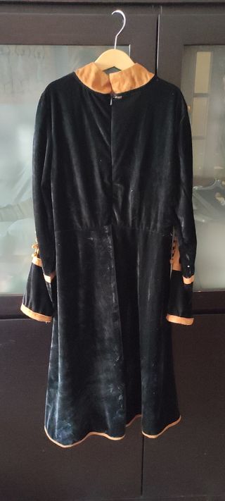 Disfraz Anna de Frozen 2. Con trenza de rega