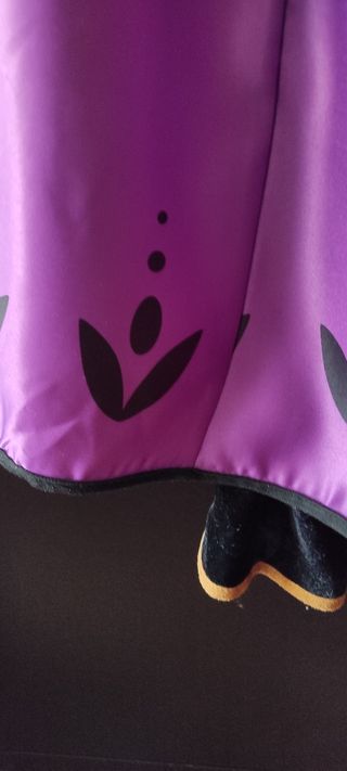 Disfraz Anna de Frozen 2. Con trenza de rega