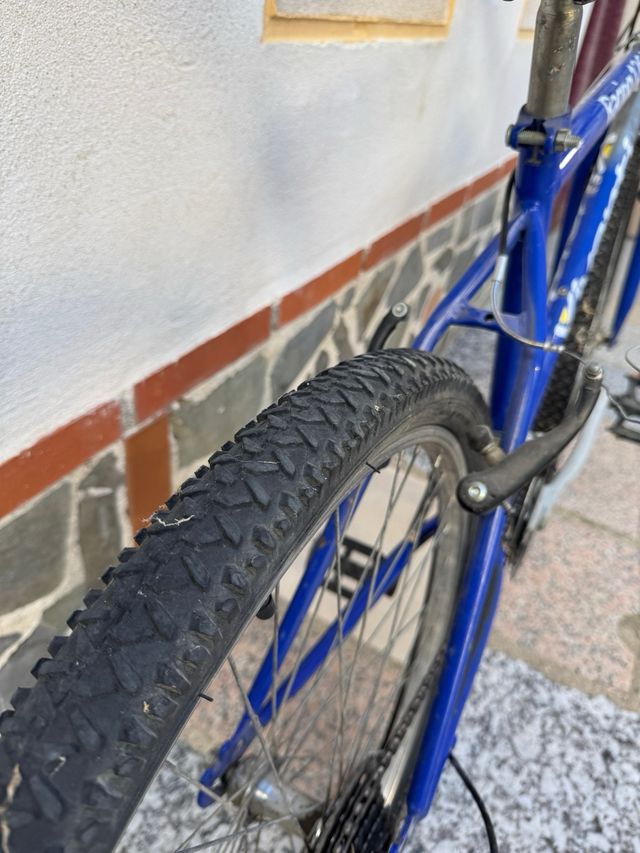 Bici Bicicleta de montaña ciudad