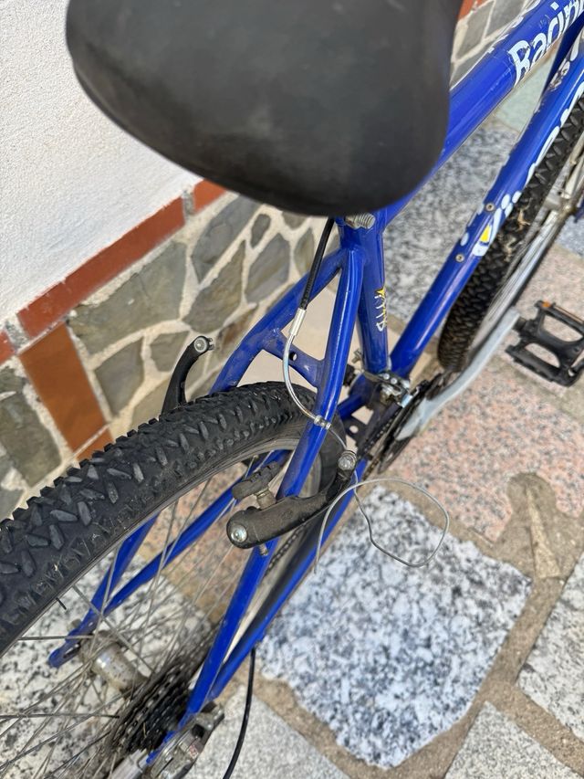 Bici Bicicleta de montaña ciudad