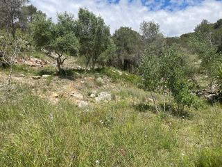 Terreno en venta en Mas Trader-Corral D’En Tort-Corral D’En Cona en Cubelles