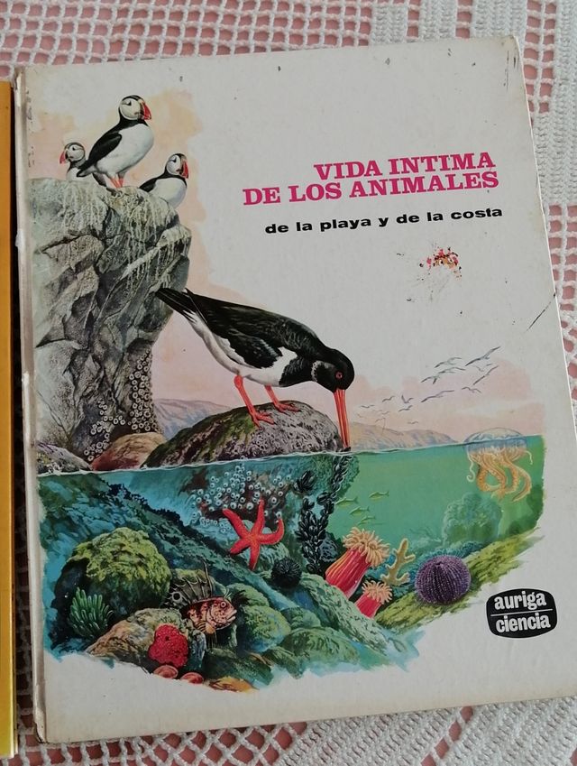 Lote 3 Libros Infantiles Animales Años 70
