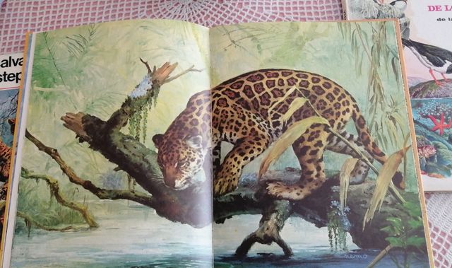 Lote 3 Libros Infantiles Animales Años 70