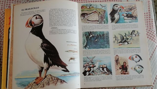 Lote 3 Libros Infantiles Animales Años 70