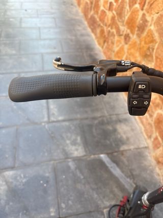 Patinete eléctrico Ice Q5 Evolution