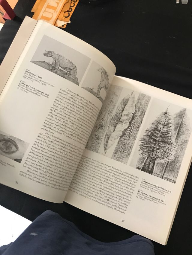 Lote de 2 libros de Max Ernst. Pintor