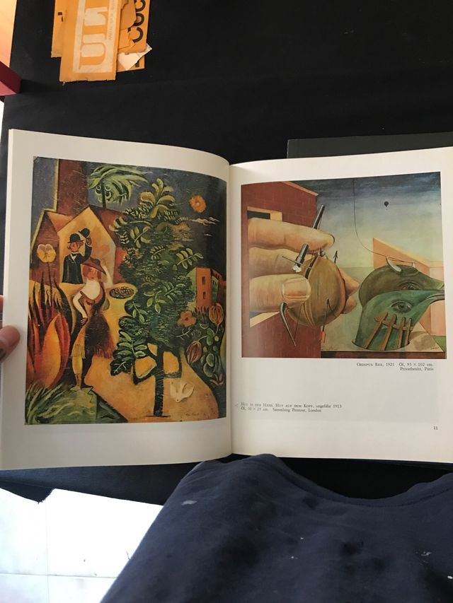 Lote de 2 libros de Max Ernst. Pintor