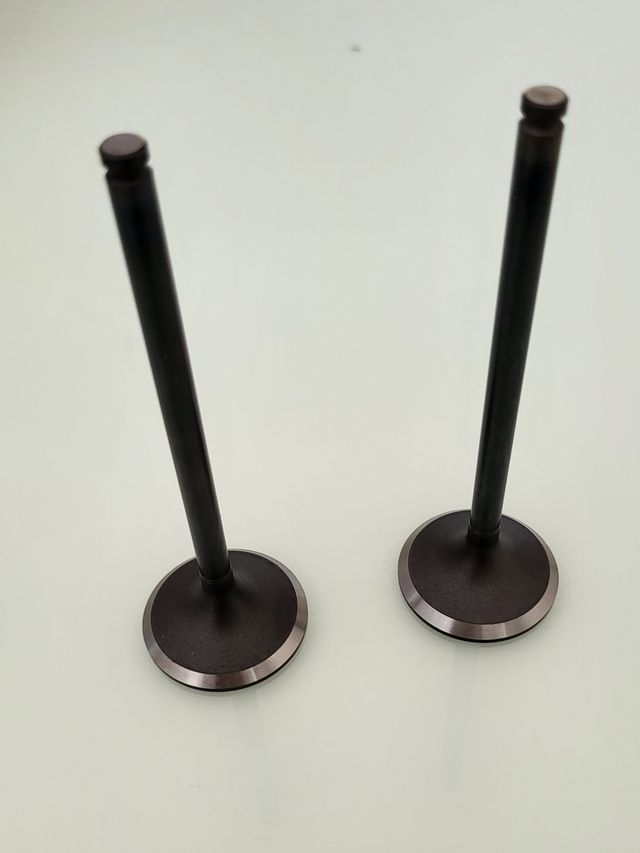 Válvula Admisión XU10J4RS