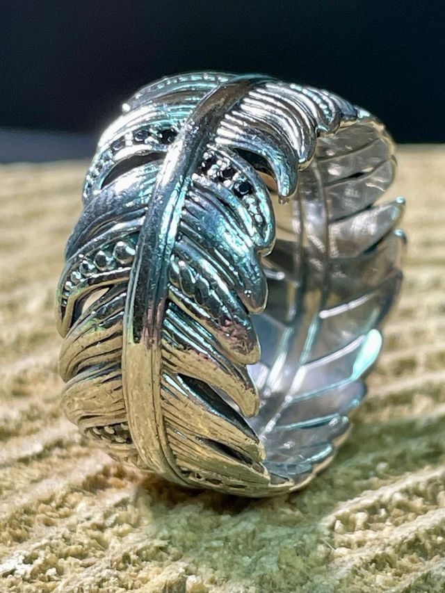 Anillo Thomas Sabo Plata 925 Talla 58