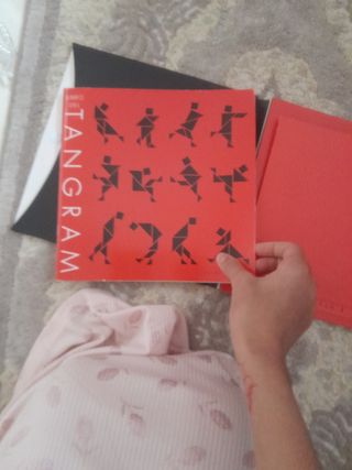Juego de Tangram Clásico y Creativo
