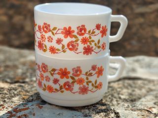 2 Tazas desayuno Arcopal Florales NOCILLA