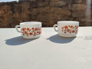2 Tazas desayuno Arcopal Florales NOCILLA