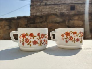 2 Tazas desayuno Arcopal Florales NOCILLA