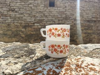 2 Tazas desayuno Arcopal Florales NOCILLA