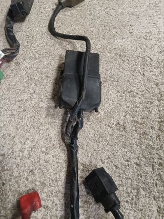 Cableado Honda CBR F1 PC23
