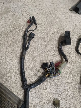 Cableado Honda CBR F1 PC23