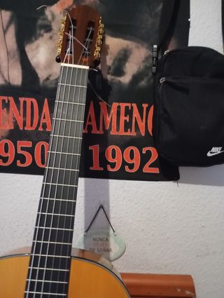 Guitarra flamenca Vicente Tatay