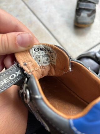 Scarpe Geox bimbo velcro