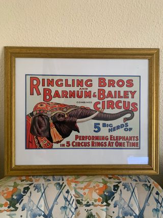 Cuadro Circo Ringling Bros. Elefantes