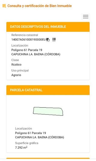 Finca de olivos en Baena - 7292 m²