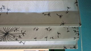 Estor con estampado de diente de león