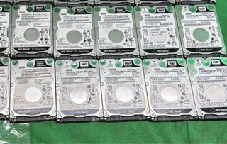 Lote de 10 Discos Duros WD de 500 GB - Para PC