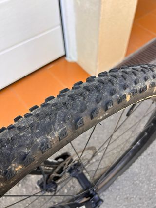 Canyon Lux Trail CF 29” 2022 - L
