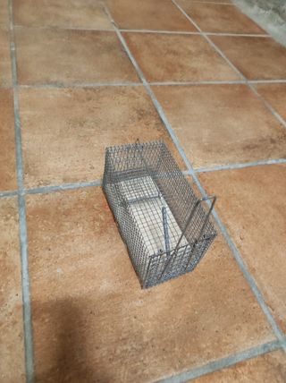 Ratonera metálica para atrapar ratones