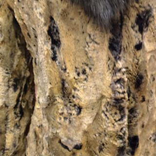 Chaqueta Piel Sintética T40 Negro/Amarillo