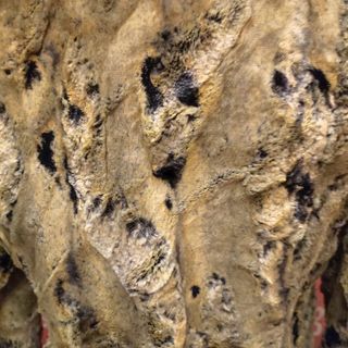 Chaqueta Piel Sintética T40 Negro/Amarillo