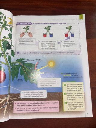 Ciencias da natureza. 4 Primaria. Celme