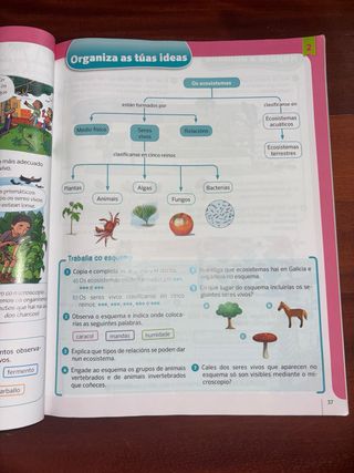Ciencias da natureza. 4 Primaria. Celme