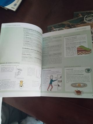 4⁰ ESO BIOLOGÍA Y GEOLOGÍA