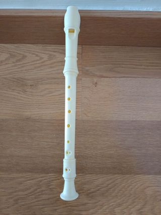 Flauta dulce de plástico.