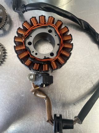 Alternador y volante magnético BMW G310