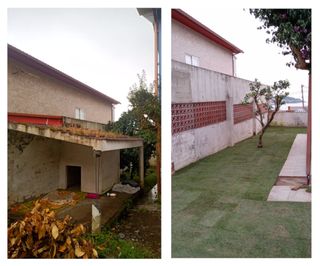 Jardinero Profesional Jardinería