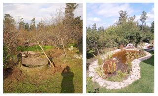 Jardinero Profesional Jardinería