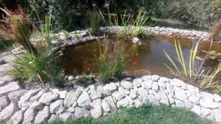 Jardinero Profesional Jardinería