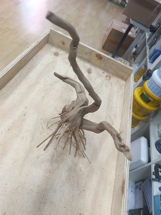 Madera natural para acuario