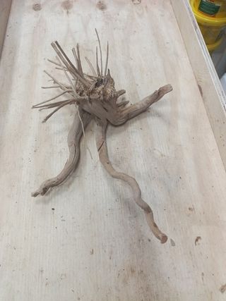 Madera natural para acuario