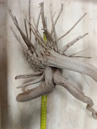 Madera natural para acuario