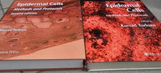 6Libros de texto.Libros universitarios de consulta