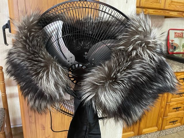 Estola Zorro Ártico INOCHI