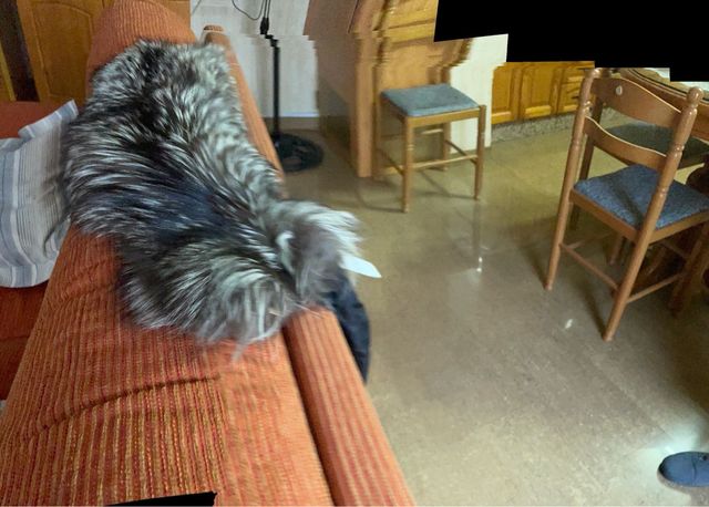 Estola Zorro Ártico INOCHI