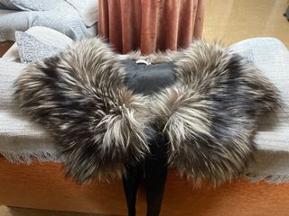 Estola Zorro Ártico INOCHI