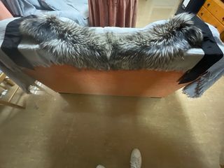 Estola Zorro Ártico INOCHI