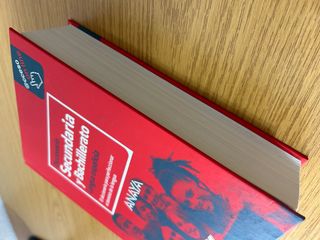 Diccionario de lengua española secundaria y bach.